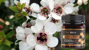 Mật ong hoa manuka rừng tự nhiên